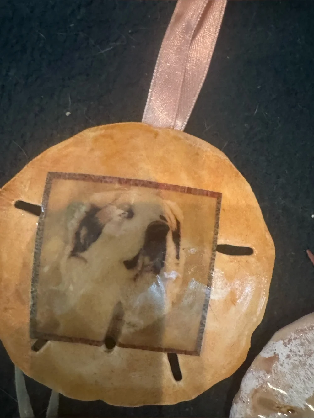 Handmade real Sand Dollar Photo Ornaments - Gold and Cream